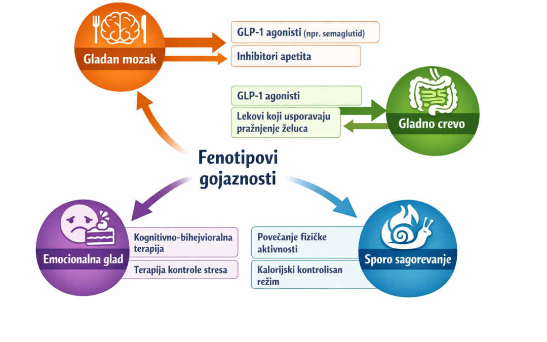 Fenotipovi gojaznosti i izbor terapije